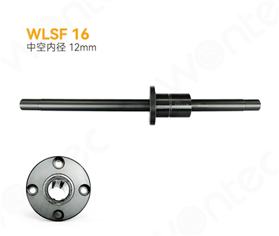 WLSF 16 - Flange type